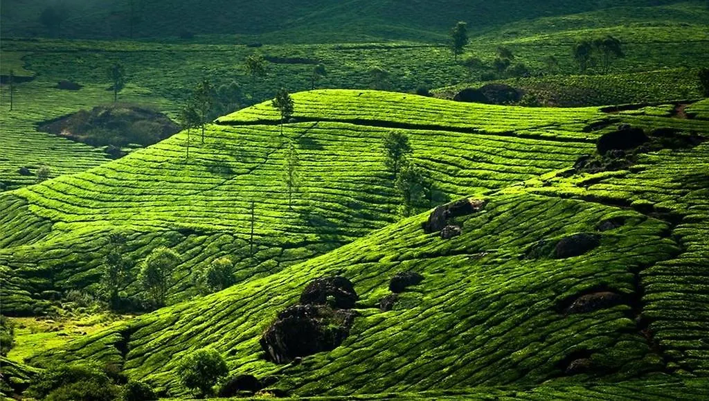 Clouds Valley Hotel Munnar 4*,  India