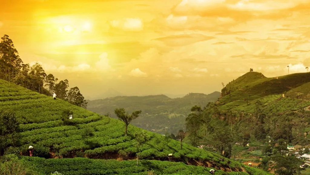 Clouds Valley Hotel Munnar